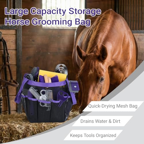 13 Piece Horse Grooming Kit (Purple)
