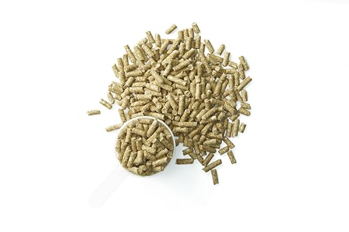 Systemiq™ Probiotic Horse Supplement