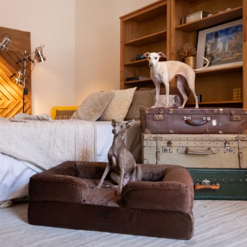 Dog Bed Orthopedic Memory Cooling Foam (Brown - VE / Large)