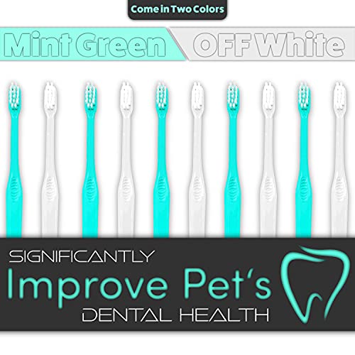 Toothbrush for Small Dogs & Cats (4 Count (Pack of 1))