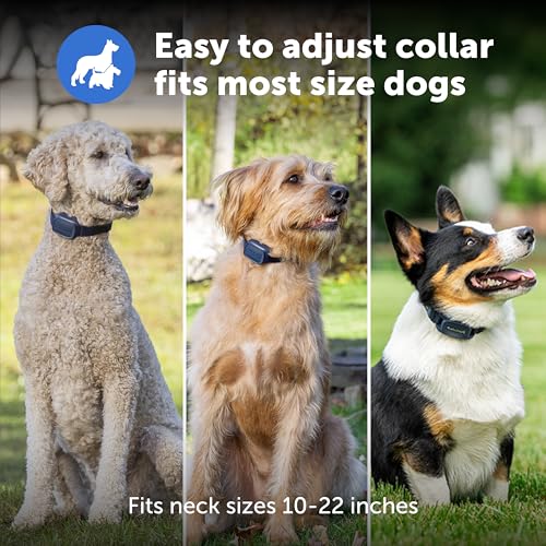 Pro Trainer Add (Extra Collar Only)