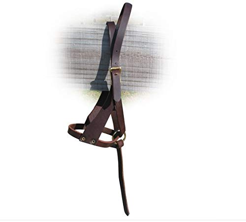 Leather Figure 8 Foal Halter