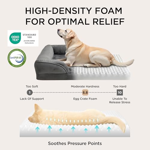Orthopedic XLPlus Dog Bed Extra Large Washable Original Design (Dark Grey / 48"l X 35"w X 8"th)
