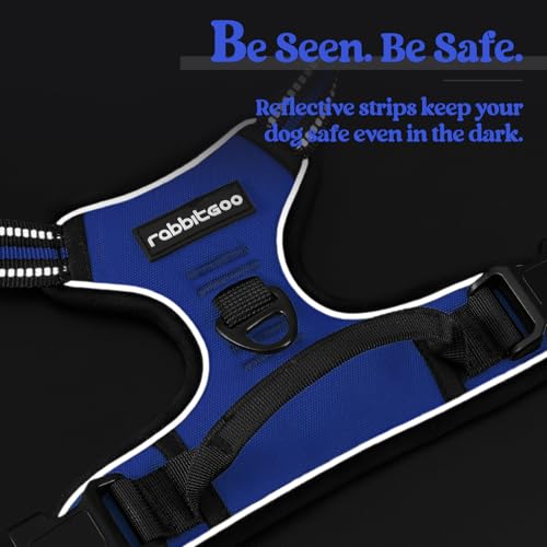 Dog Harness No Pull for Large Dogs with 2 Leash Clips (X-Large / Dazzling Blue)