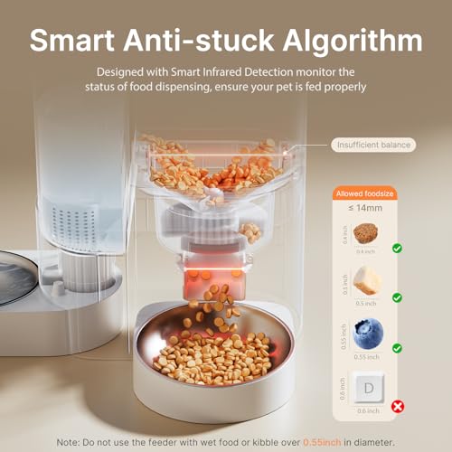Automatic Cat Feeder and Water