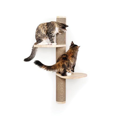 Cat Climbing Wall System (Wall Mount / Ascentials Sunrise Steps)