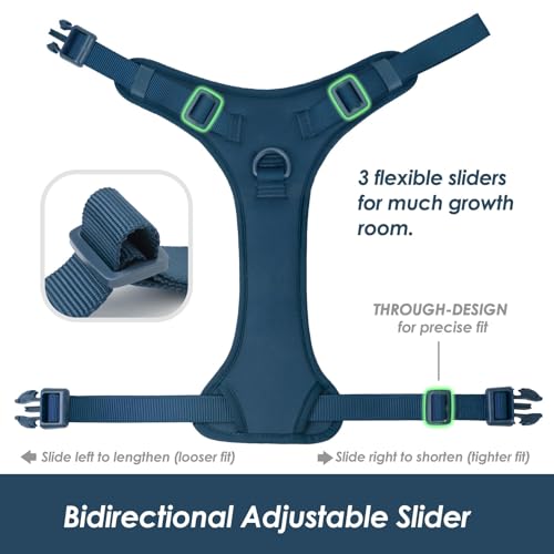 No Pull Dog Harness for Small Sized Dogs (Prussian Blue / S(Neck:15.7-22.0", Chest:17.3-24.8"))