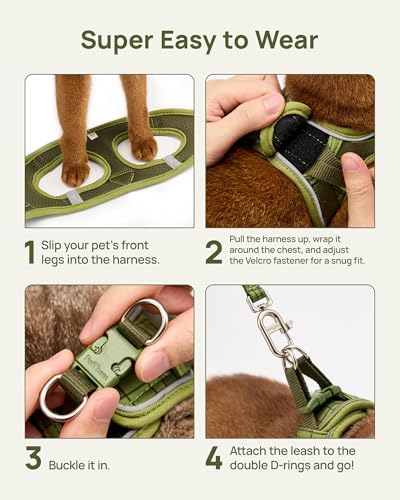 Upgraded Cat Harness and Leash Set (Green Growling Crocodile / L)