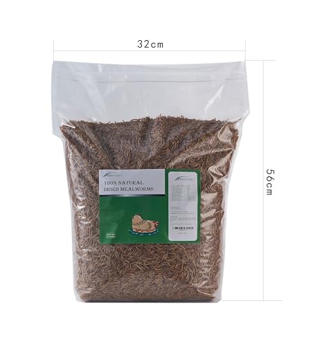 Bulk Dried Mealworms 10Lb Bag (10 Pound (Pack of 1))