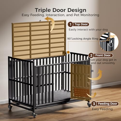 Heavy Duty Dog Crate (49in)
