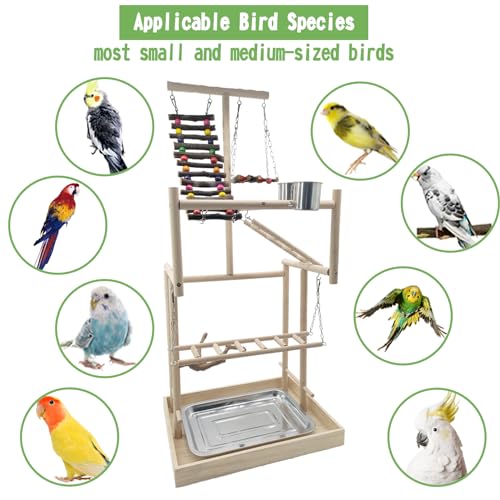 4 Layers Large Bird Playground 32" H Pet Parrot Playstand Gym