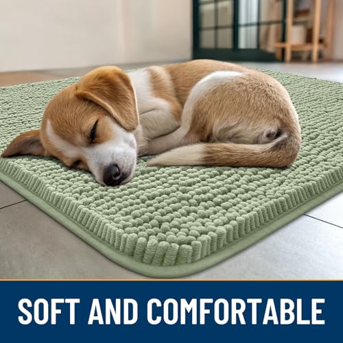 Dog Door Mat for Muddy Paws 48x30 (Sage Green / 48"X30")