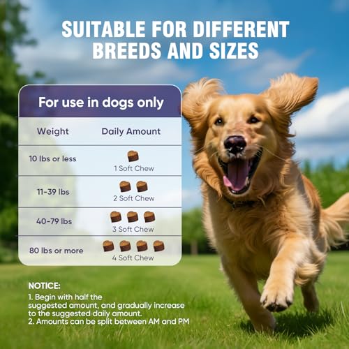 Joint Supplement for Dogs 200 ct (2 g/capsule 200pcs)