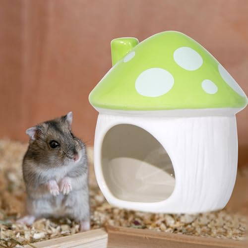 Ceramic Hide Hamster Hideout Small Pets Habitat House Accessories (Green)