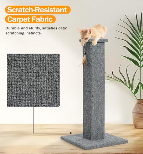 Made4Pets Cat Scratching Post for Indoor Cats (Grey-Carpet)