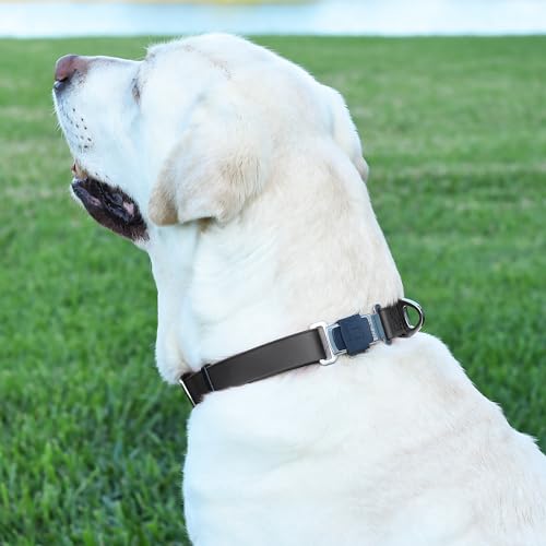 Biothane Waterproof Dog Collar with Herm Sprenger Black Stainless Steel Quick Release Buckle (W 1" x L 15"-25" / Black)