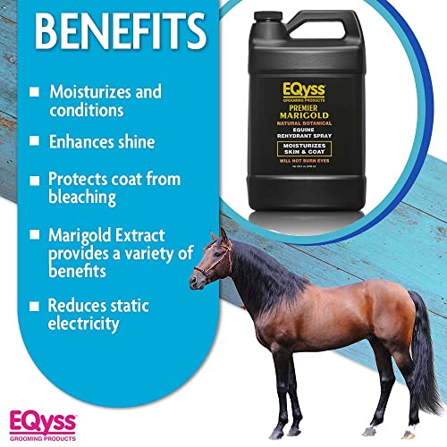 Premier Marigold Equine Coat Conditioning Spray (128 Ounce (Pack of 1))
