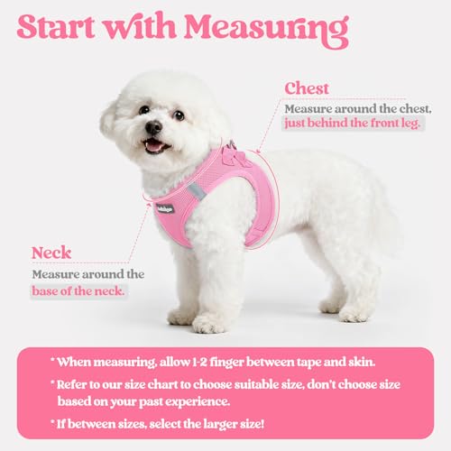 Dog Harness Medium Sized and Leash Set (Light Pink / Xl (chest: 20 - 21.8"))