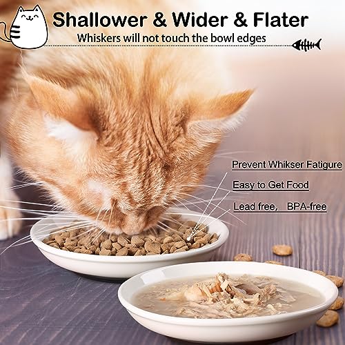 Cat Food Bowl (Shallower-6 Pack)