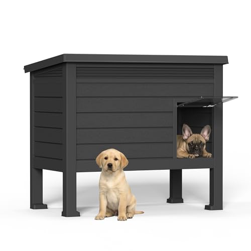Indoor & Outdoor Resin Dog House with Raised Floor and Easy Assembly (Black / 31.02*19.09*26.73)