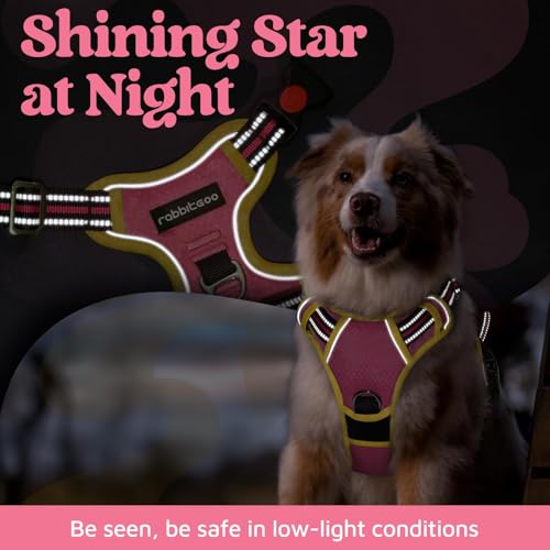 Dog Harness for Large (Pink & Yellow / X-Large)