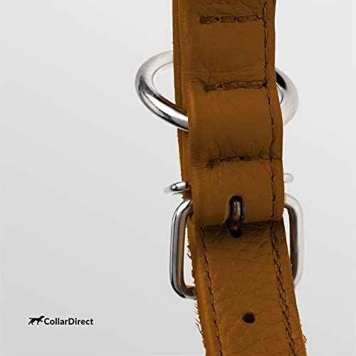 Tangle Free Rolled Leather Dog Collar (Cinnamon / XS)