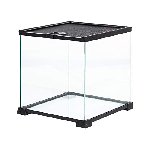 REPTIZOO Small Glass Tank 8 Gallon (12"W X 12"D X 12"H (8 Gallon))