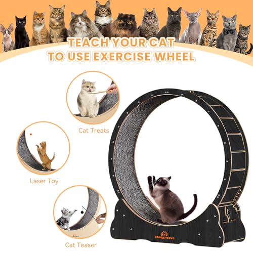 Cat Wheels for Indoor Cats (L / Black)