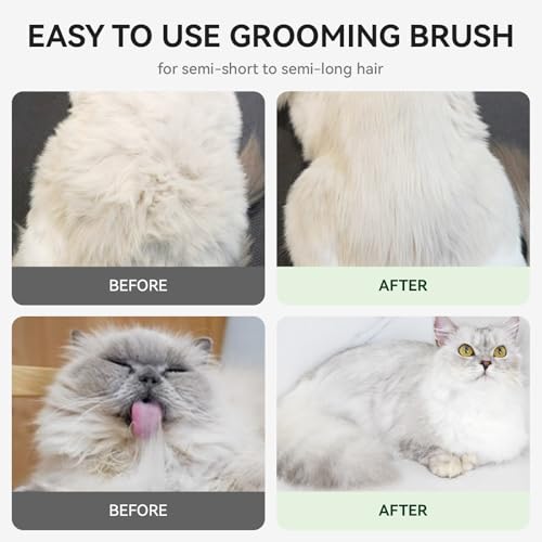 Cat Brush for Shedding (Forest Green)