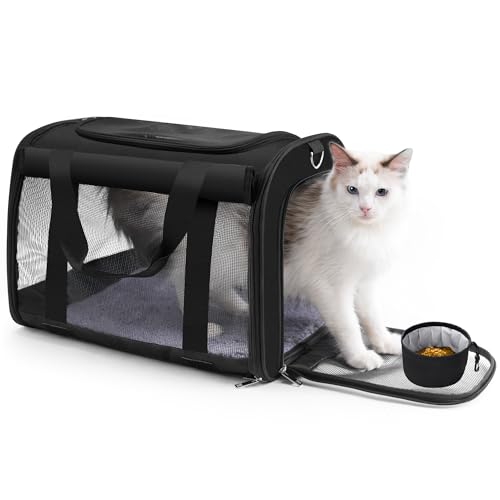 Cat Carrier Backpack (black)