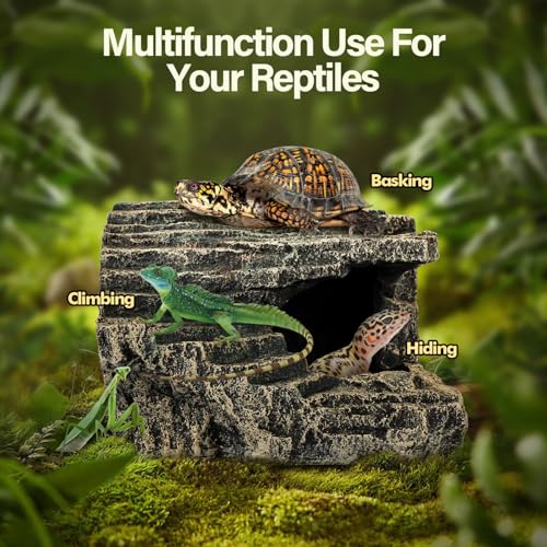 Reptile Hide Great for Geckos (Stone / A-Xlarge)