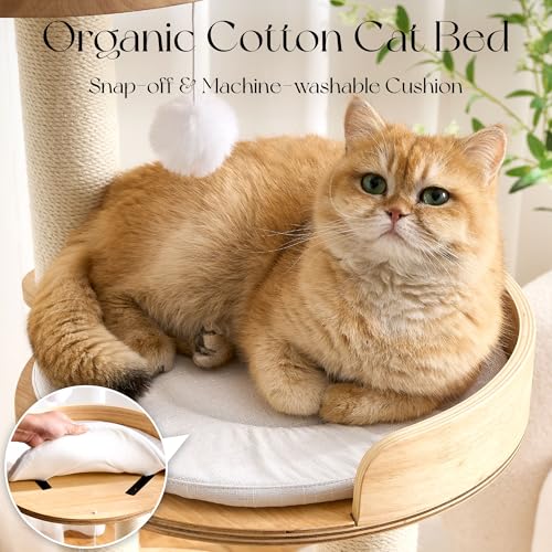 Modern Solid Wood Cat Tree Tower (49 Inch-Scratch Ball)