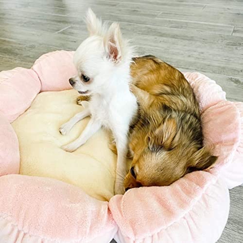 Soft Plush Small Cute and Cozy Pastel Pink Flower Dog Cat Bed (Pastel Pink Flower)