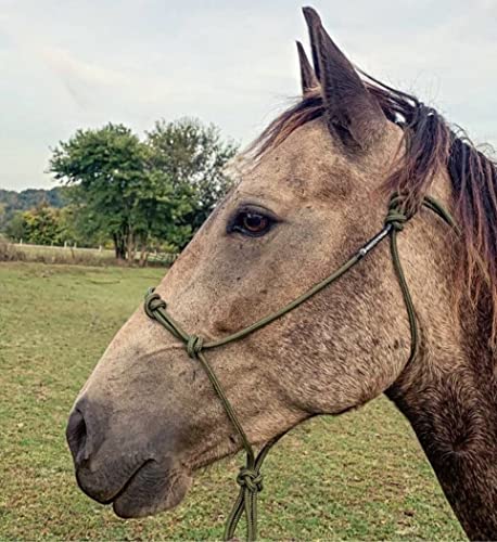 Horse Rope Training Halter (Olive Green / Small)