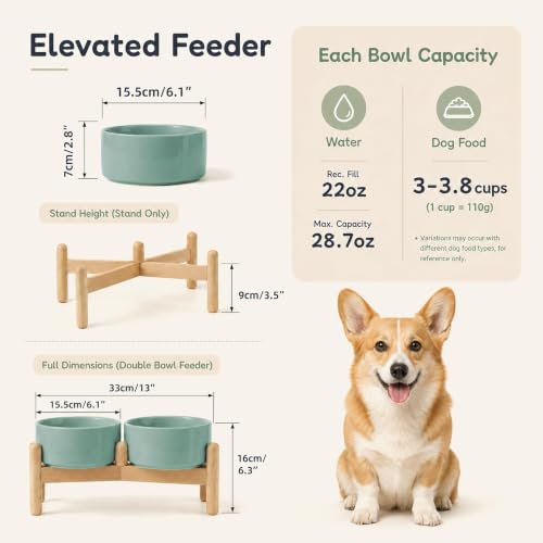 Ceramic Dog Bowls Elevated (Light Green)