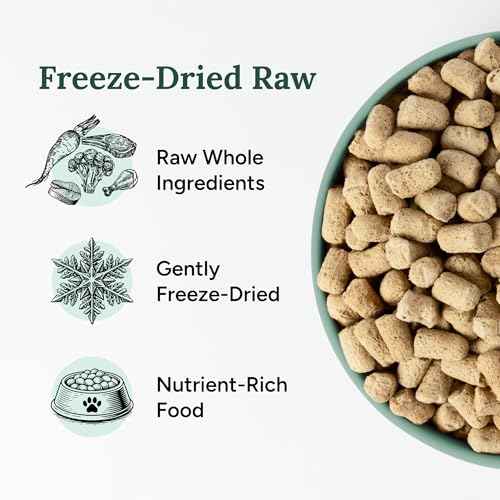 Freeze Dried Raw Dog Food (1 Pound (Pack of 4))