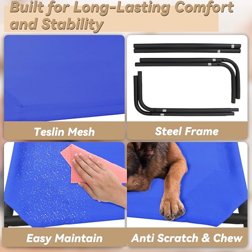 Elevated Dog Bed for Large Dogs (Large / Blue)