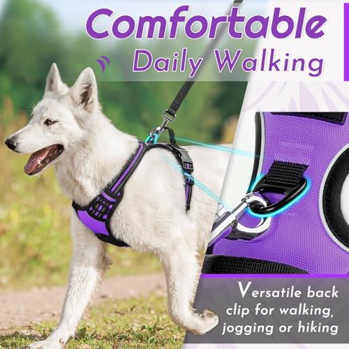 Dog Harness for Medium Sized Dogs (Medium / Purple)