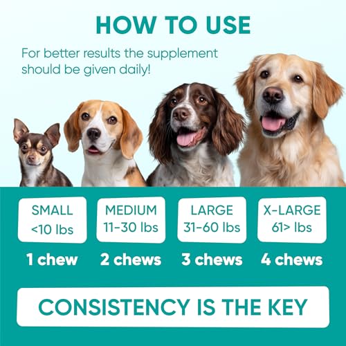 Hemp Calming Chews for Dogs (Green)