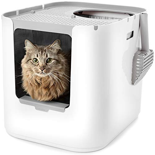 XL Cat Litter Box (White, Gray, Black)