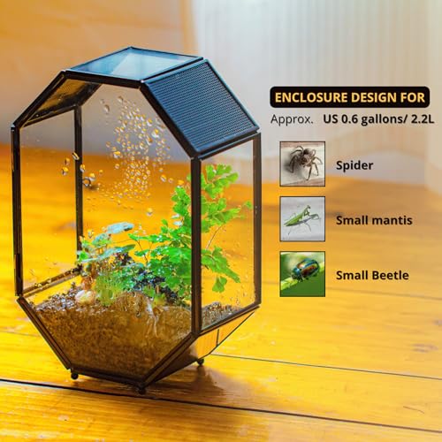 Glass Enclosure Terrarium with Mesh and Door for Spiders (6.2 x 3.1 x 8.7 inches)
