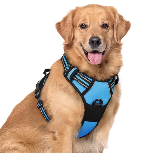 Dog Harness No Pull for Large Dogs with 2 Leash Clips (X-Large / Blue)