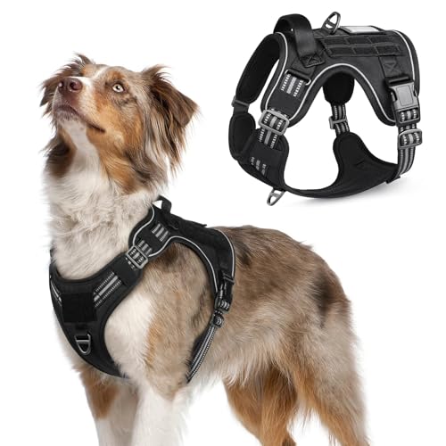Tactical Dog Harness for Medium (Black / Medium)