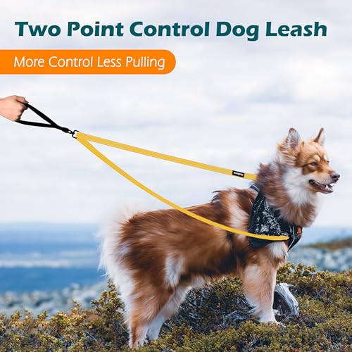 Two Point Control Dog Leash (Yellow)