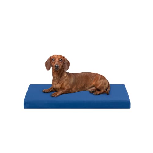 Tough Ripstop Orthopedic Crate Bed (Small (29" L x 18" W x 2" H) / Blue Quartz)