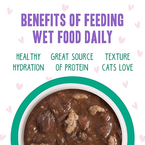 B.F.F. OMG Best Feline Friend Oh My Gravy! (5.5 Ounce (Pack of 8))