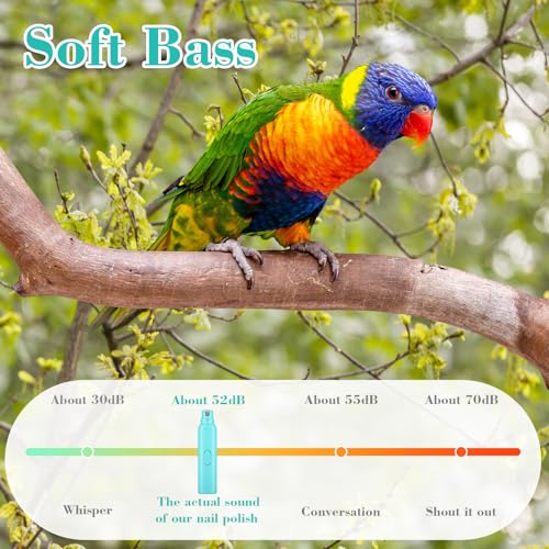 2 Pcs Bird Nail Grinder with Clipper Bird Nail Trimmer File Pet Grooming Tool for Parrot Budgerigars Parakeets Myna Conure Finches Lovebirds (Cyan Blue)