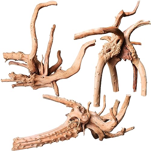 Natural Driftwood for Aquarium Decor Fish Tank Decor Reptile Decor (Spiderwood 7 to 11 Inch(Pack of 3))