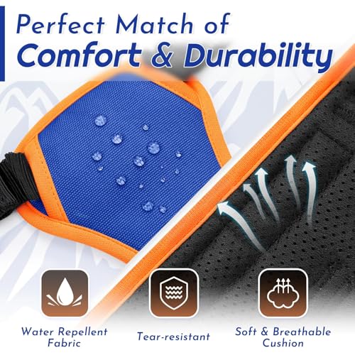 Dog Harness for Small Dogs (Small / Blue & Orange)