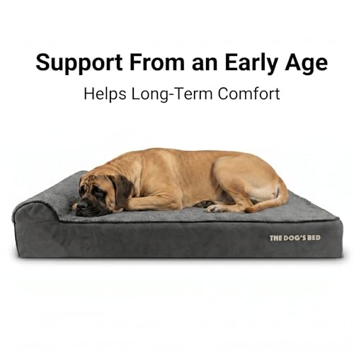 The Dog’s Bed Orthopedic Memory Foam Dog Bed with Headrest XXL (Grey Plush / XXL (54"L x 36"W x 6"Th))
